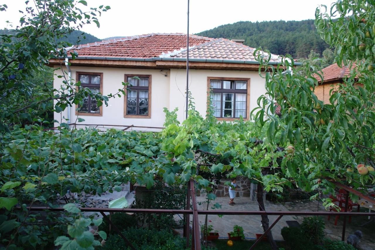 Дома для отпуска The House in Shipka Шипка